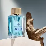 Mister Giordani Aqua